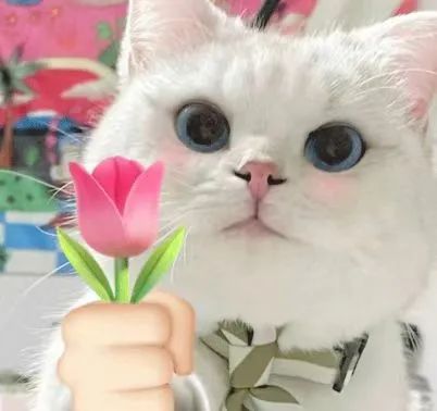 itb8888通博(中国区)官方网站